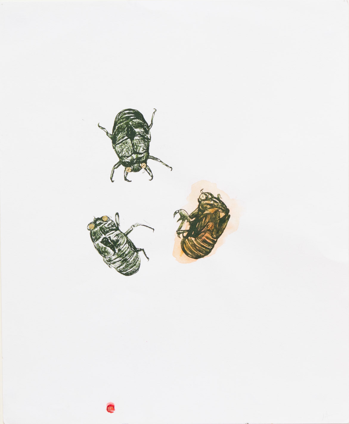 Cicadas, 2022, ink, watercolor, and sequins on paper