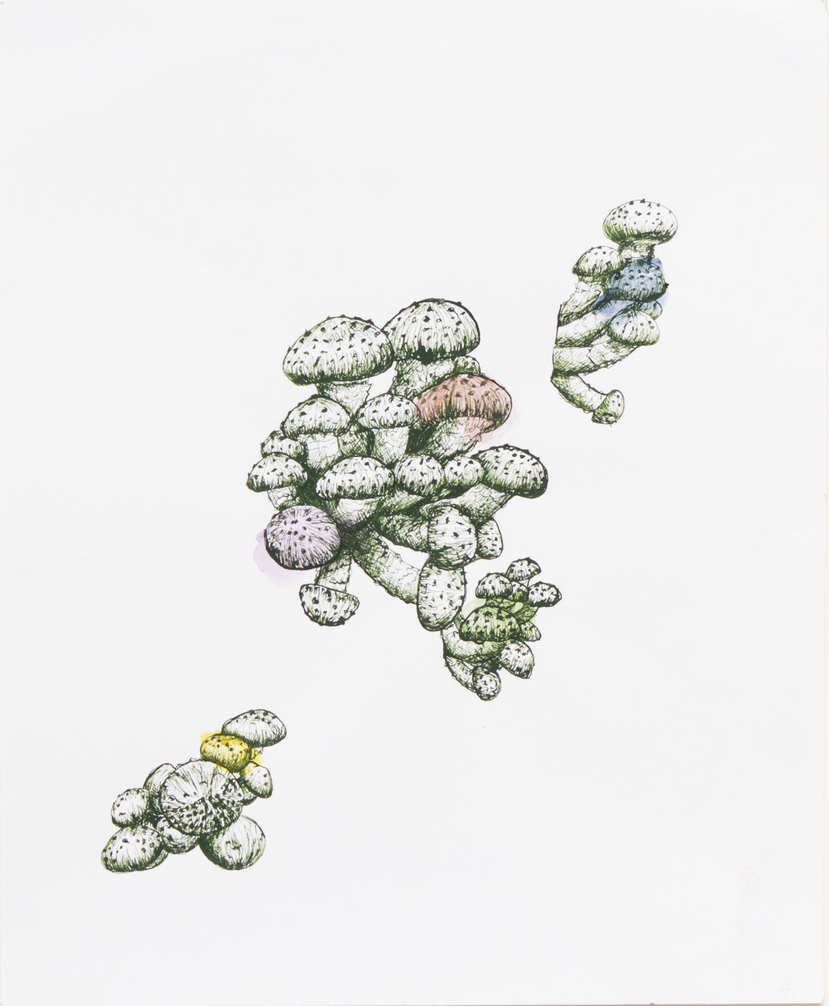 Mushrooms III, 2023, ink and watercolor on paper