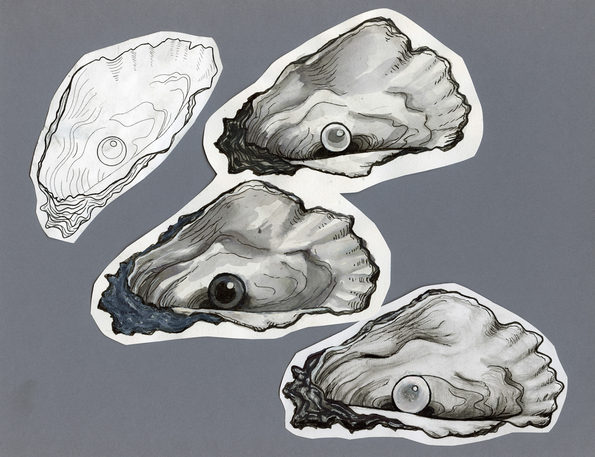 Oysters, 2023, acrylic, ink and charcoal