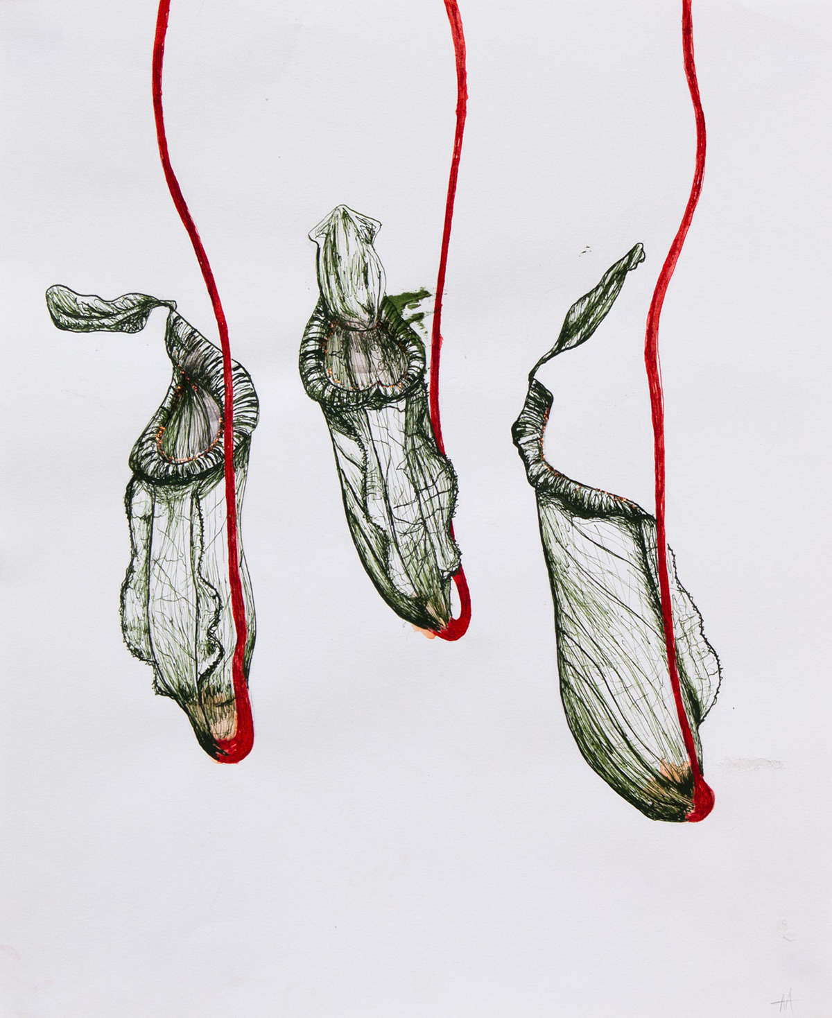 Pitcher Plants, 2023, ink, watercolor, and glitter on paper