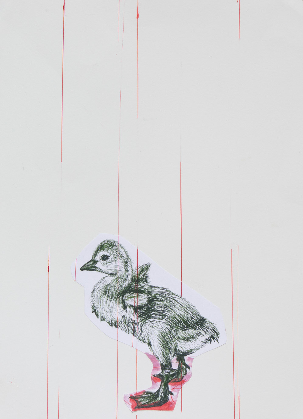 Duckling, 2022, ink and watercolor on paper