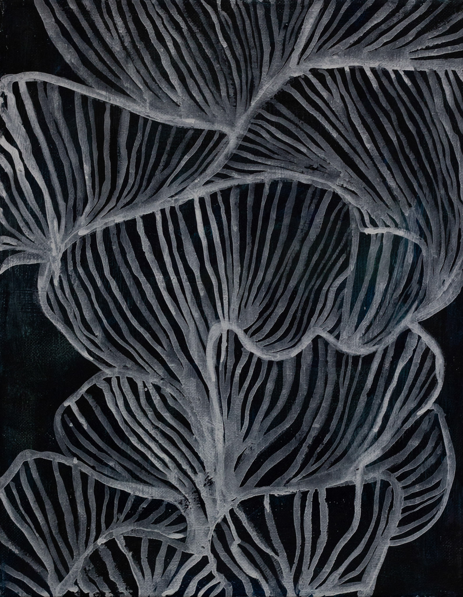 Ghost Gills, 2019, oil on canvas