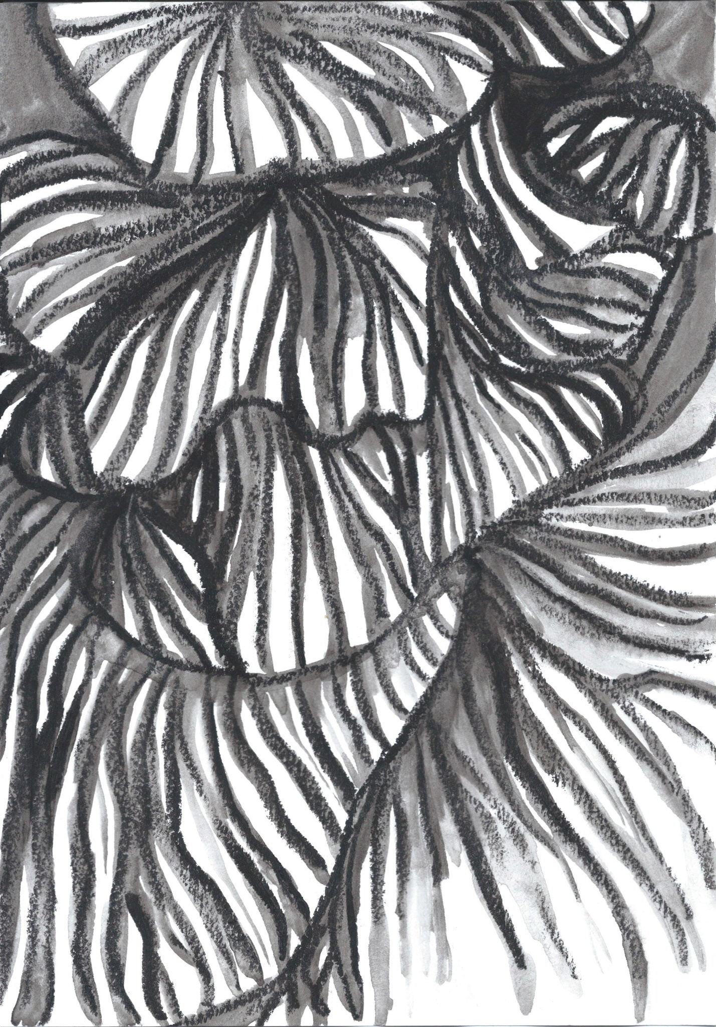 Gills, 2020, water-soluble crayons