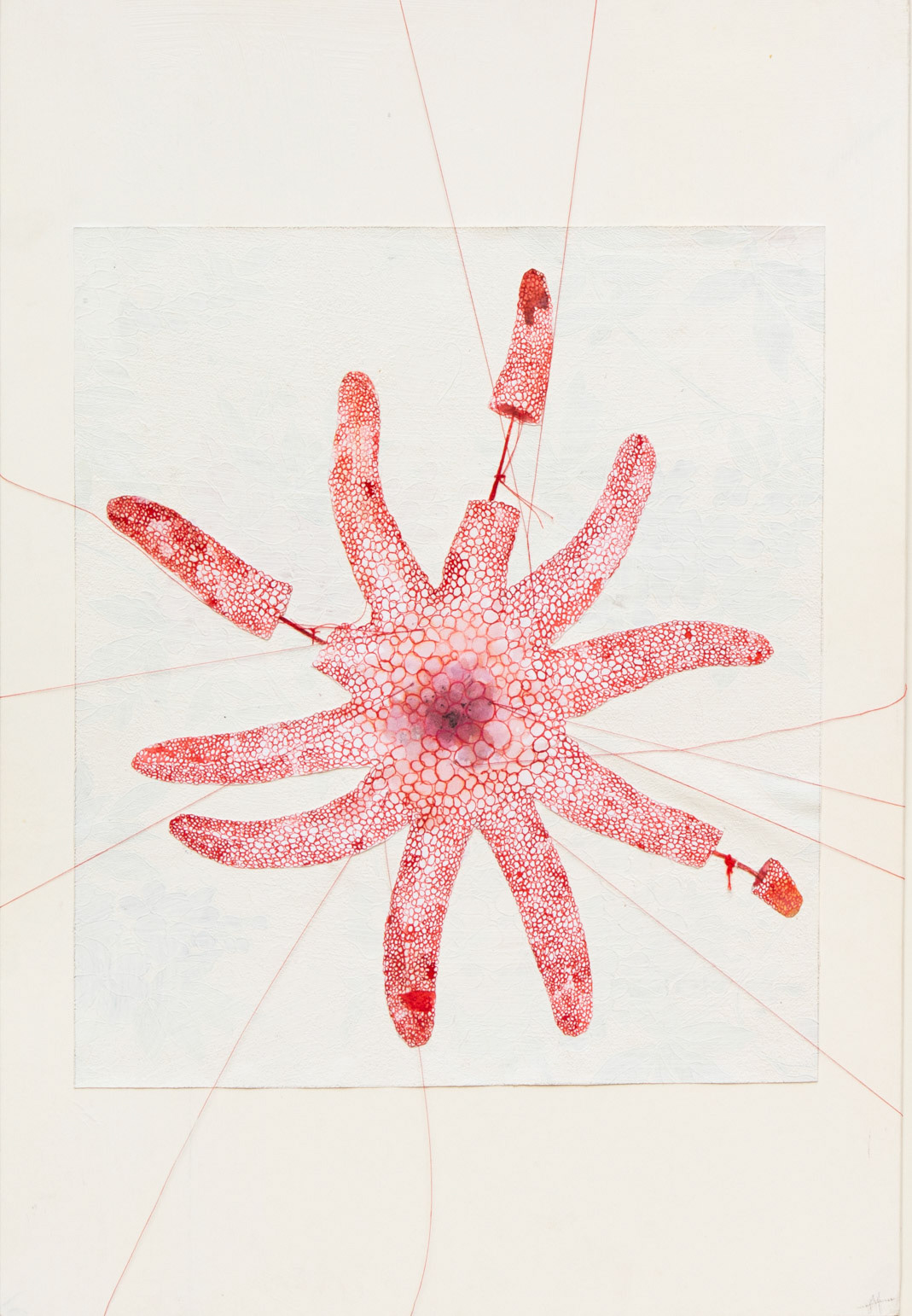 Starfish, 2023, ink, watercolor, and thread on wallpaper