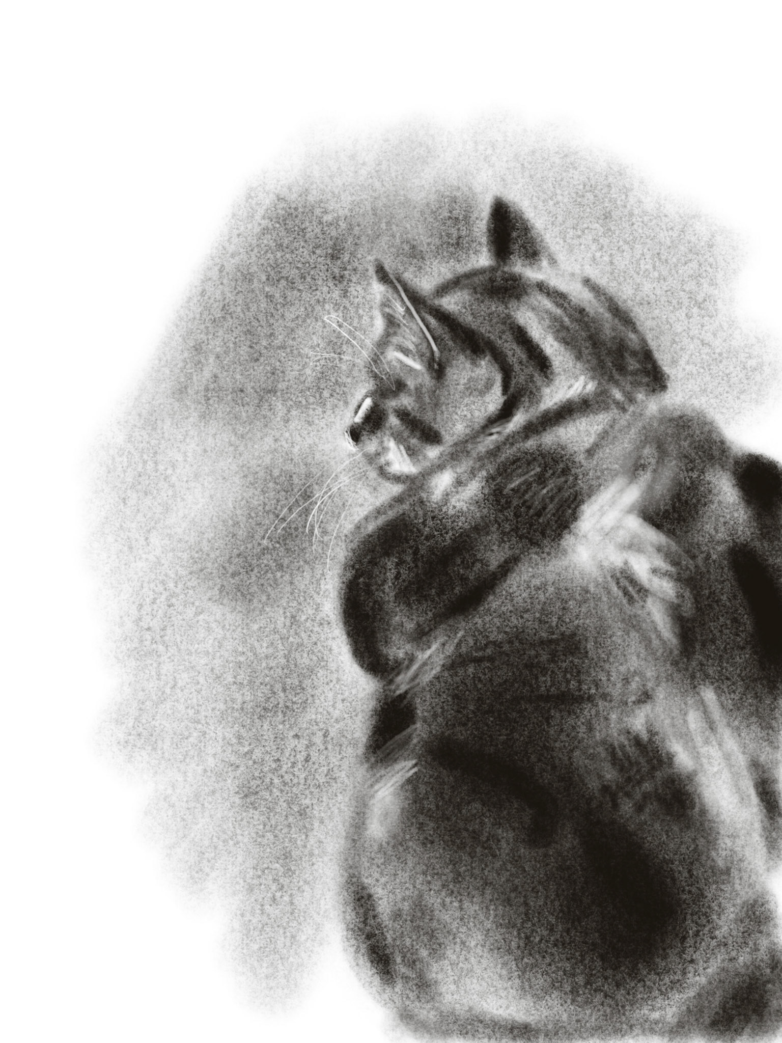 Study of Maximus, 2023, digital