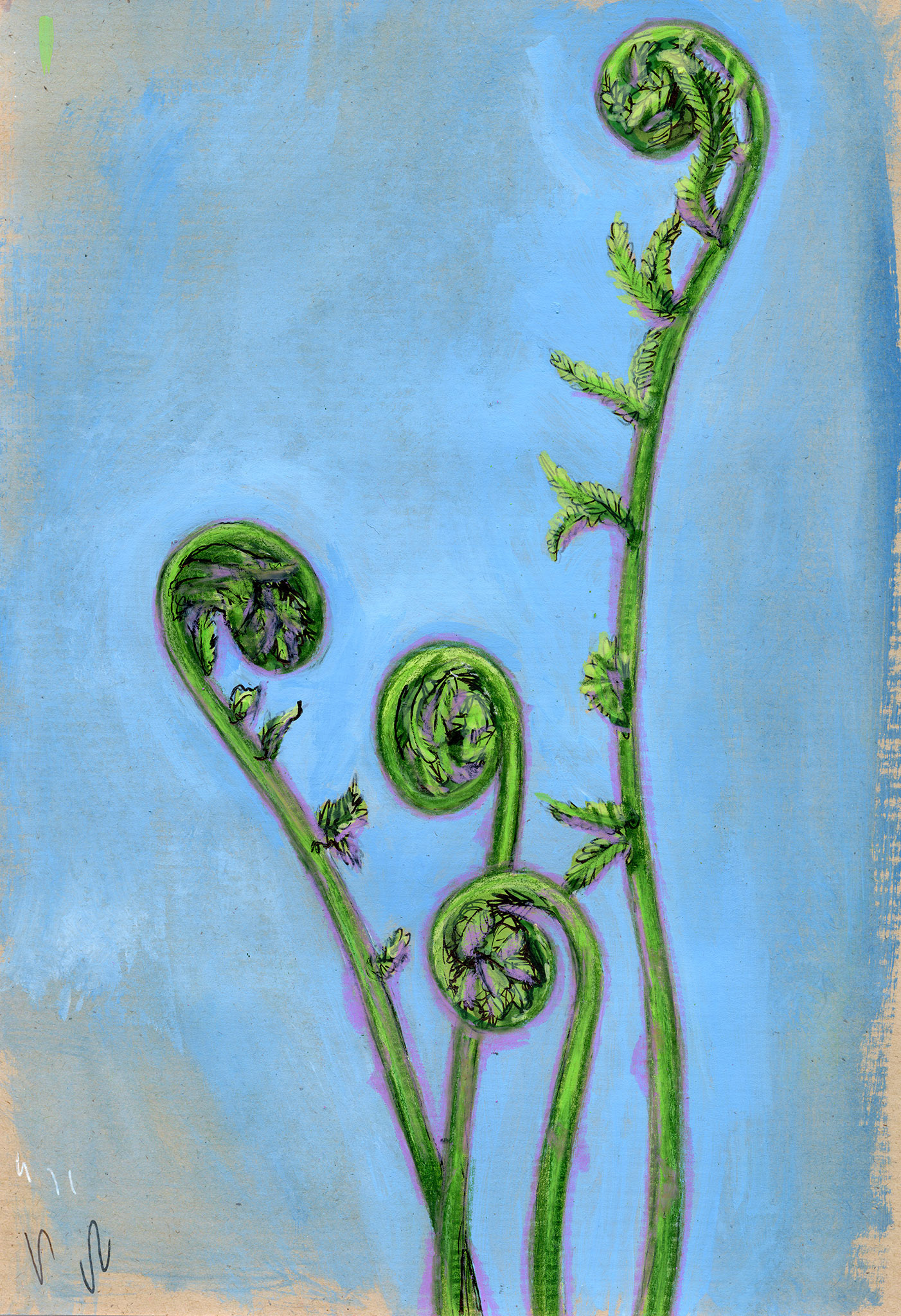 Nature Study II, 2024, pen and gouache
