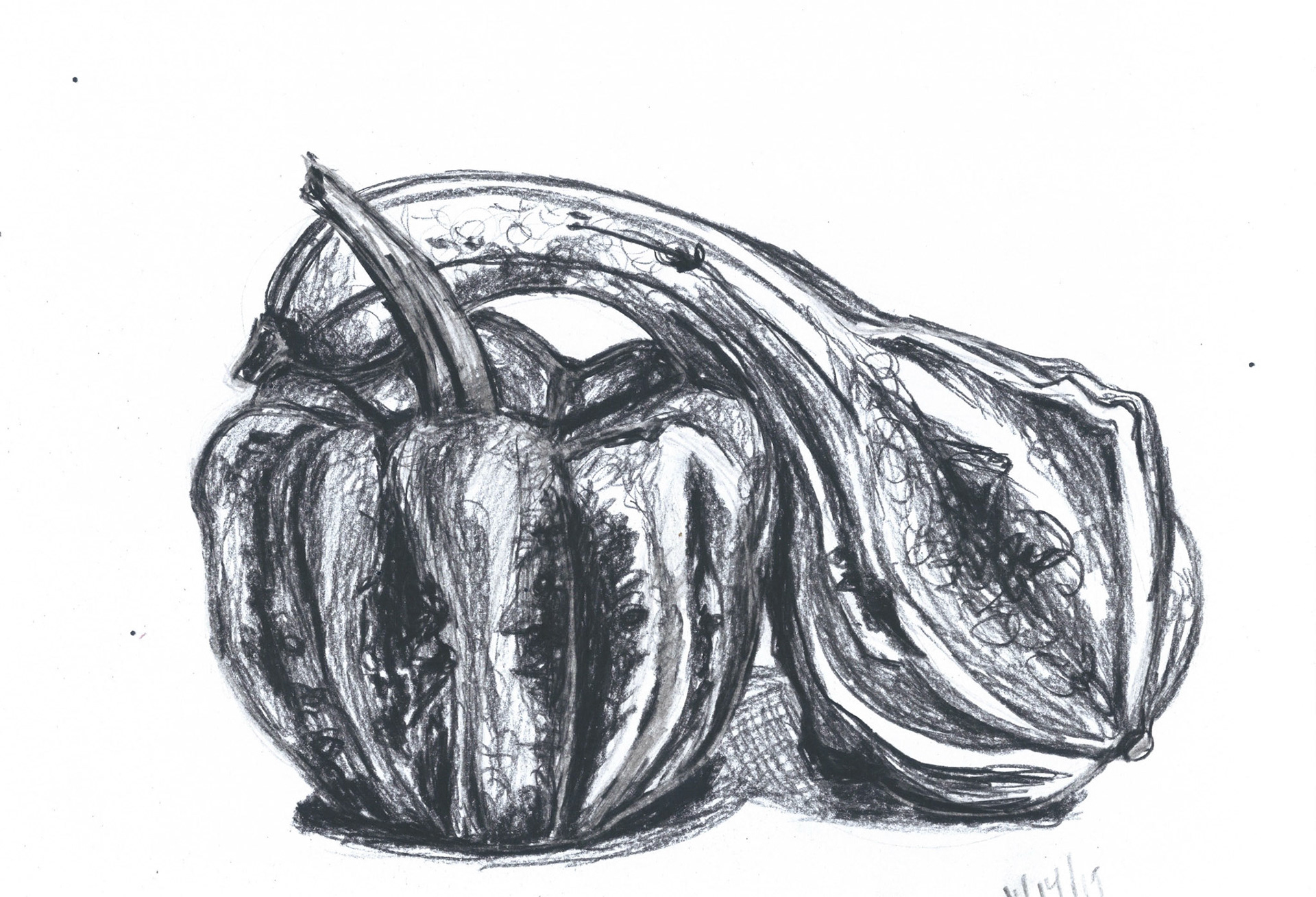 Squash Study II, 2020, charcoal