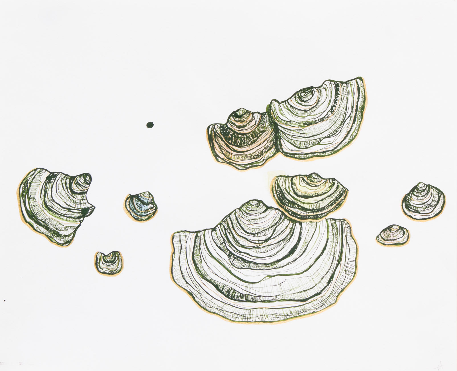 Mushrooms II, 2023, ink and watercolor on paper