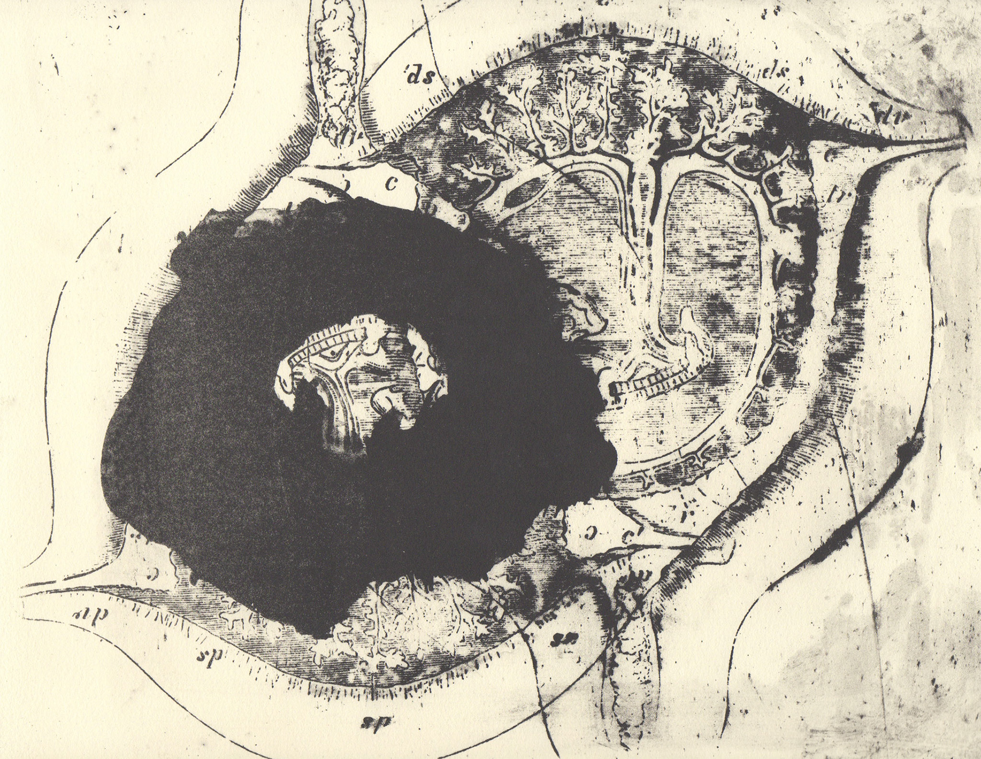 Damages, 2013, stone lithograph on paper