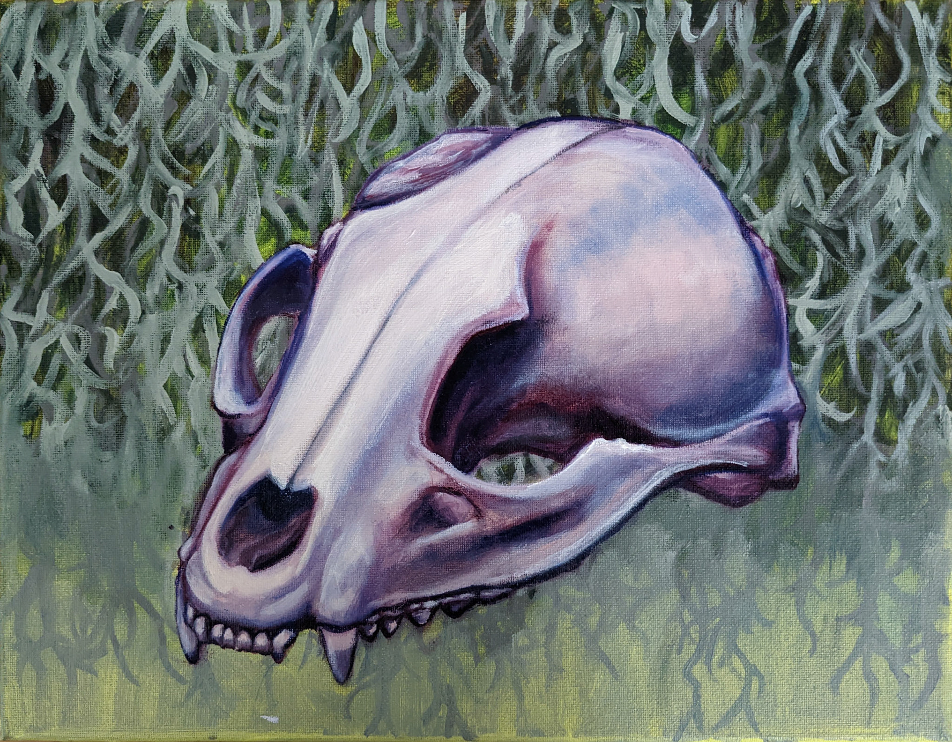 Raccoon Skull, 2022, oil on canvas