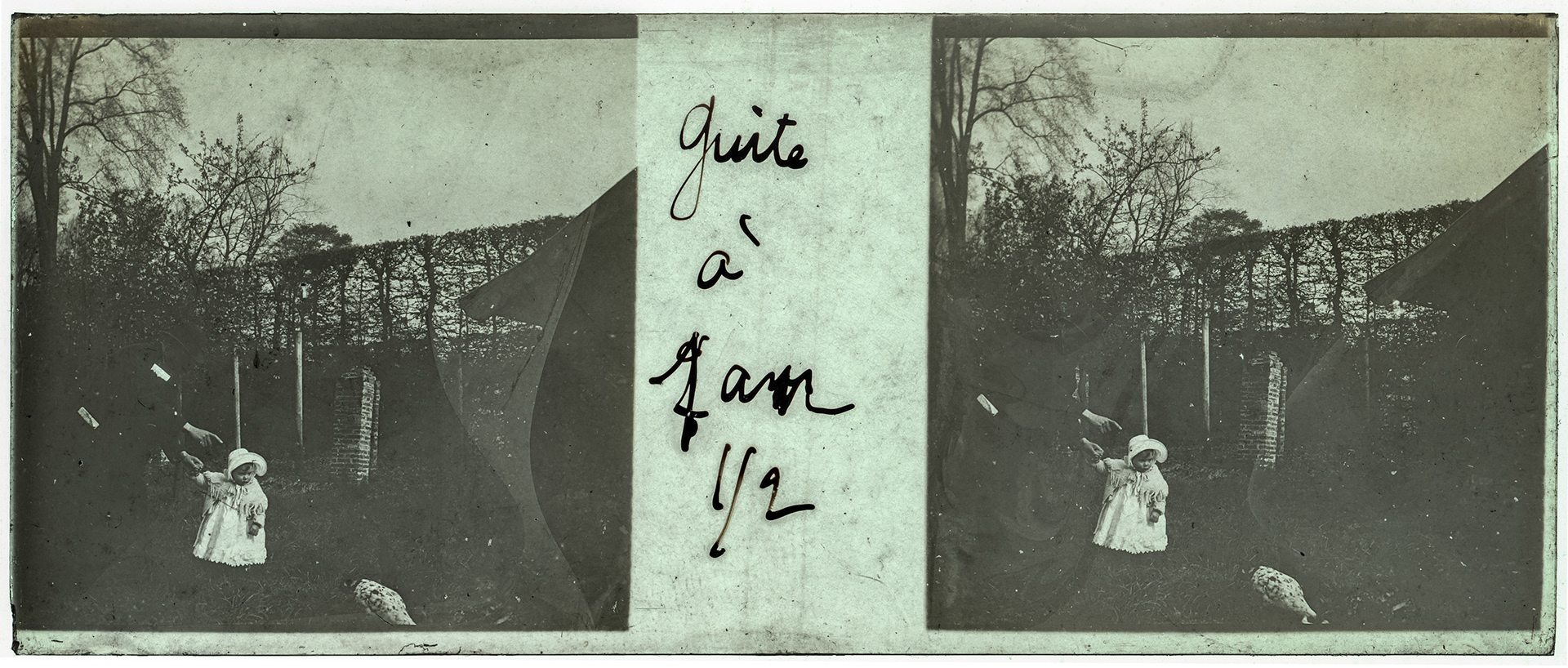 1724_ France-Lille-Esquermes - 1905 - "Guite à 1 an 1/2"