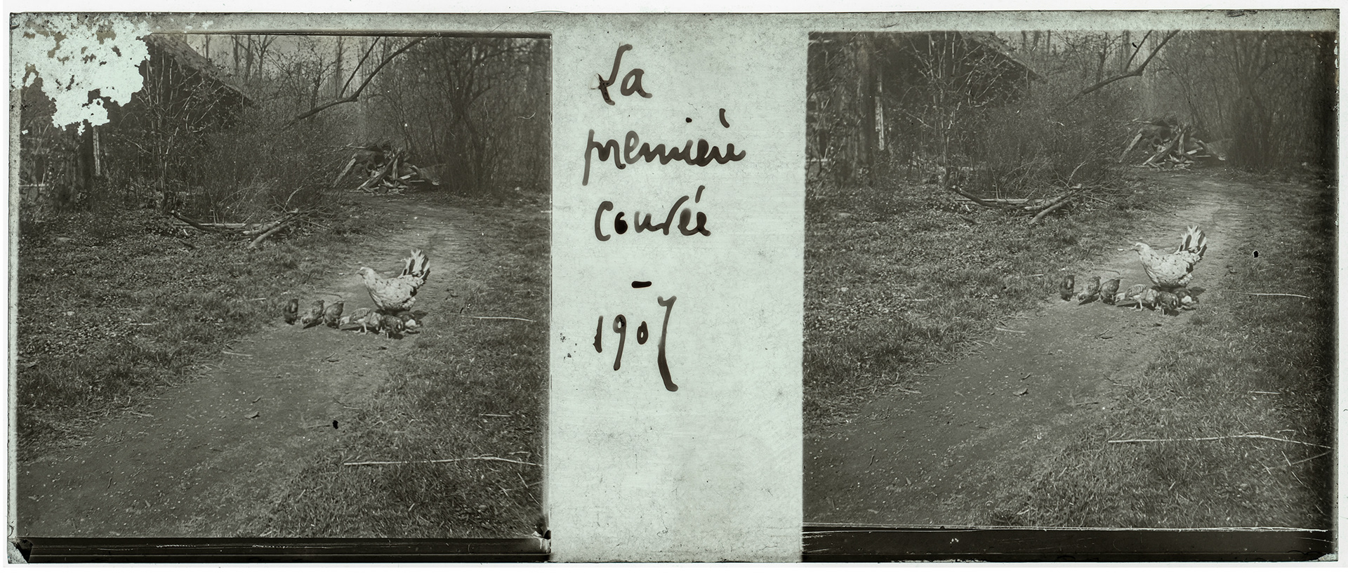 1730_ France-Lille-Esquermes - 1907 - "La première couvée - 1907"