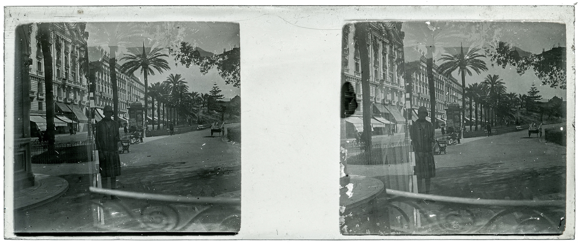 0946_ France-Nice jardin Albert 1er