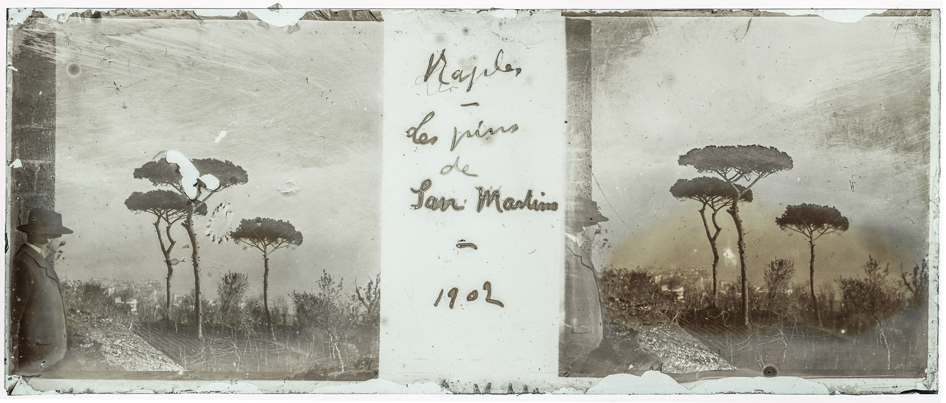 0132_ Italie-Naples San Martino - 1902 - "Naples - Les pins de San Martino - 1902"