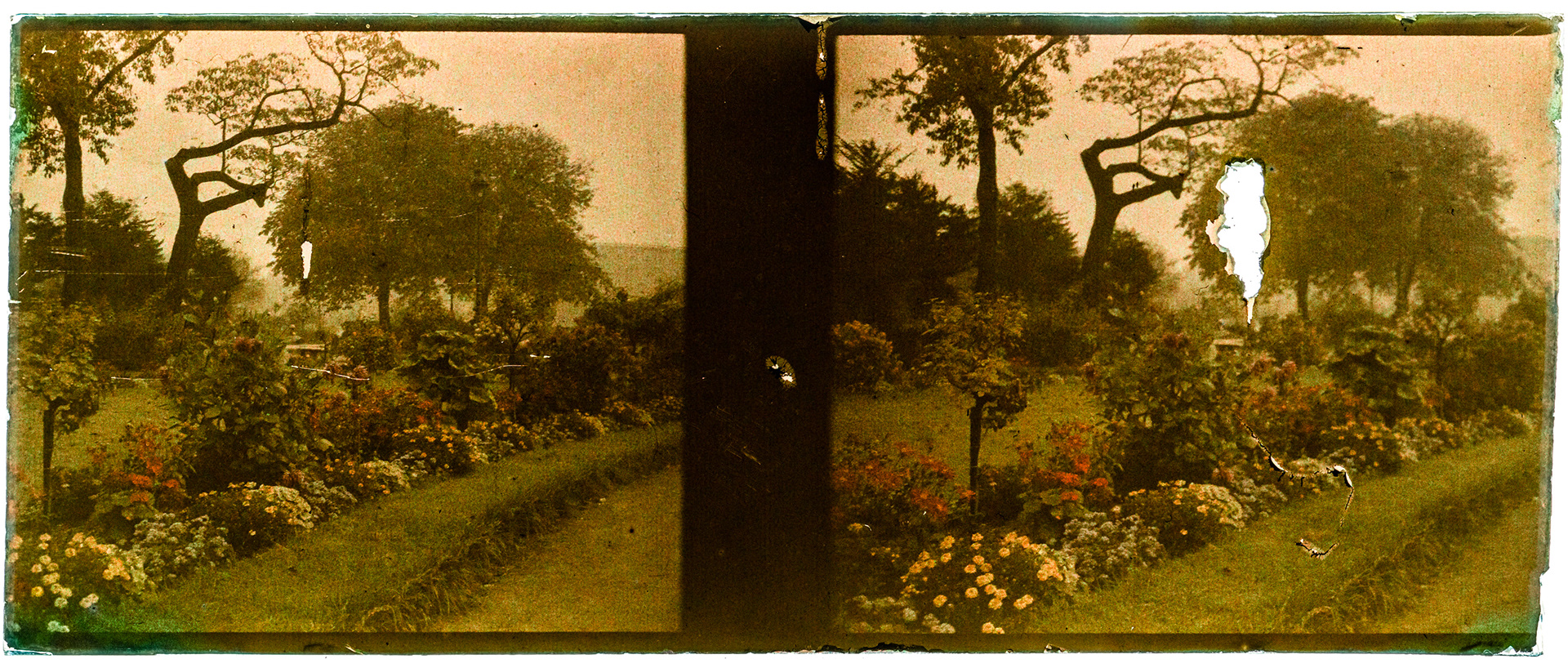 0343_ France-Paris-Jardin des Tuileries