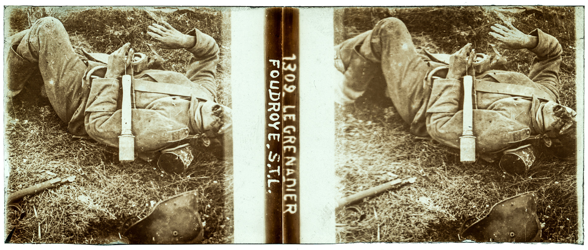 0313_ "1309 Le grenadier foudroyer STL"