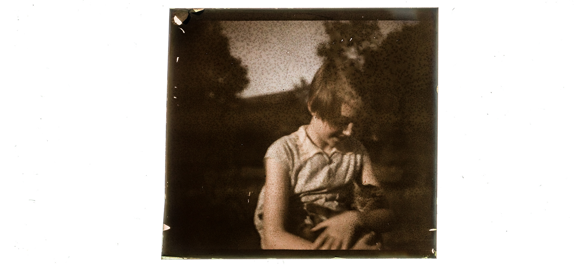 2232_ France-Val-du-Layon La bodière