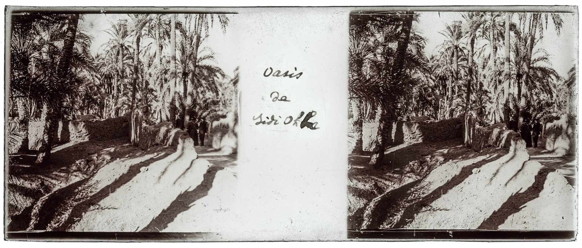 1292_ Algérie-Sidi Okba - 1929 - "Oasis de Sidi Okba"