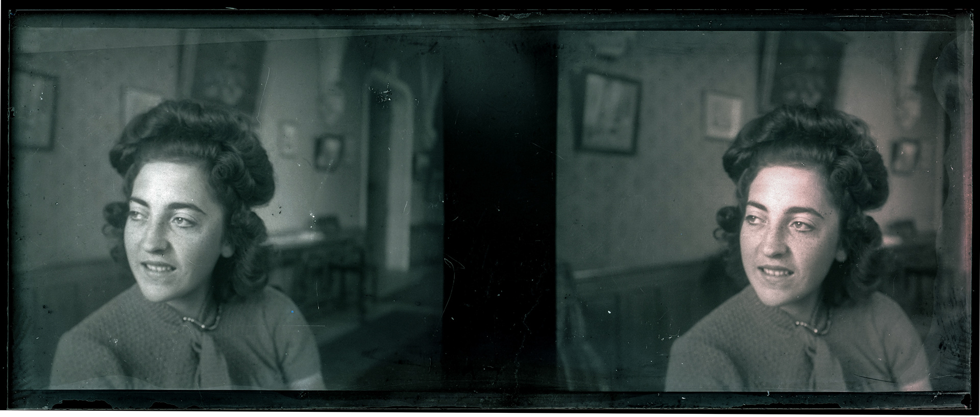 1599_ France-Val-du-Layon La bodière