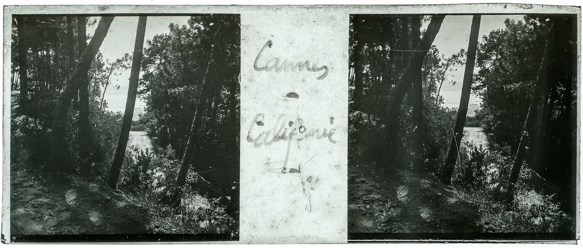 1554_ France-Cannes Californie Pézou - "Cannes - Californie"