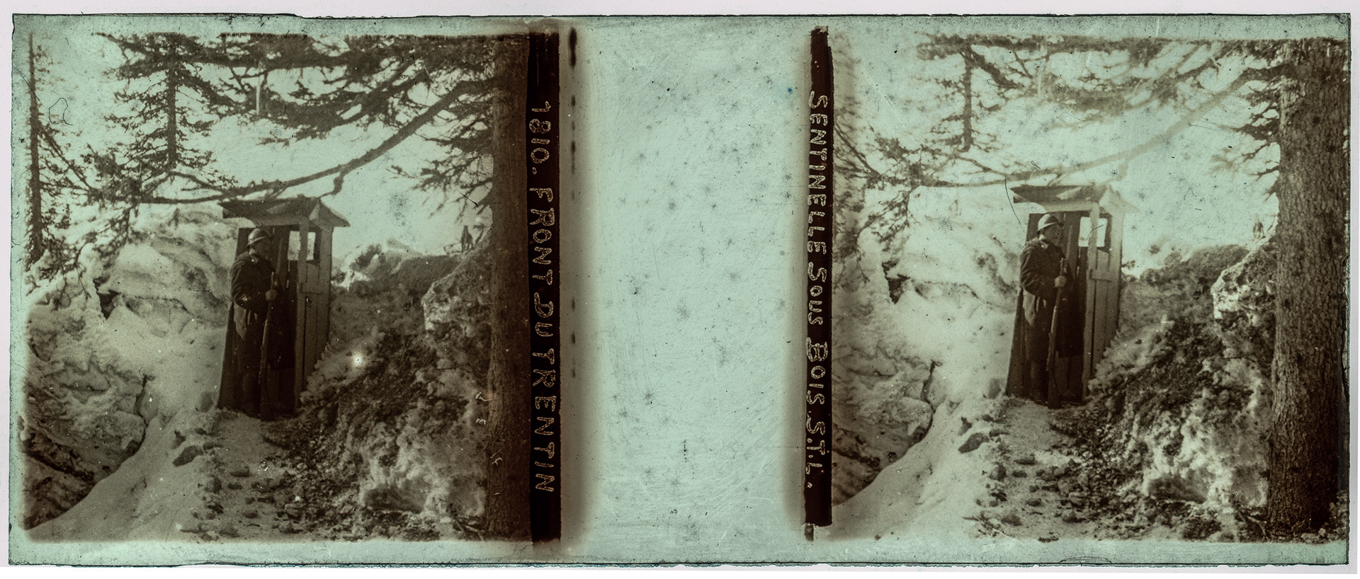 1531_ Italie-Plateau d'Asiago - 1916 - "1810 - Front du trentin sentinelle sous bois S.T.L."