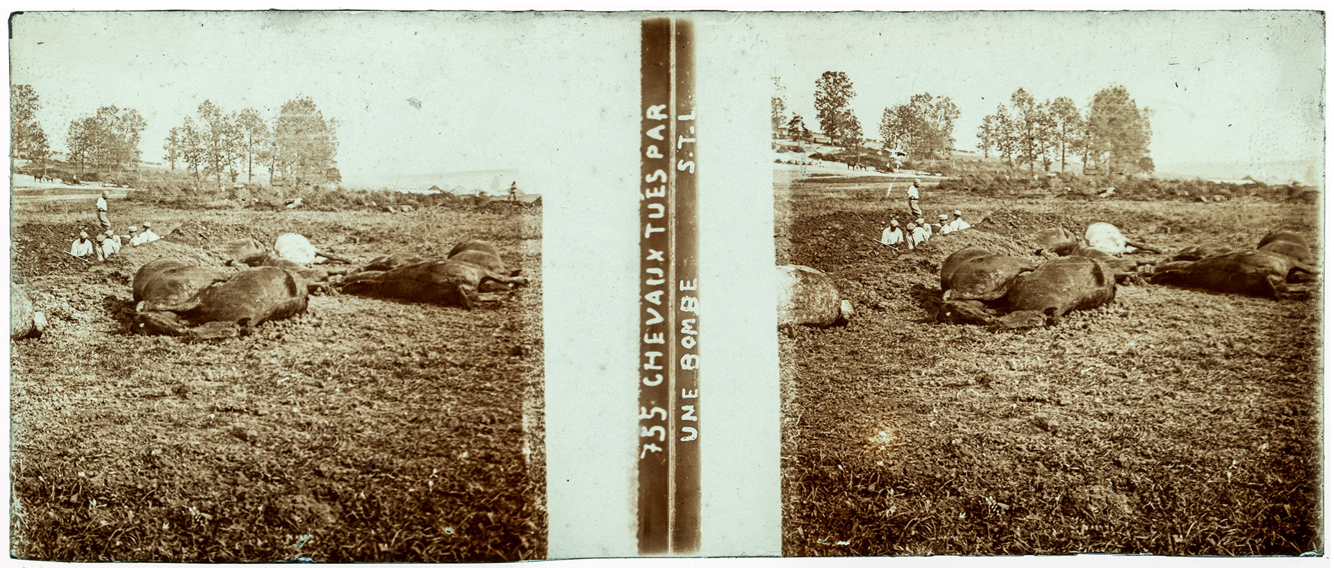 0317_ "755 Chevaux tués par une bombe STL"