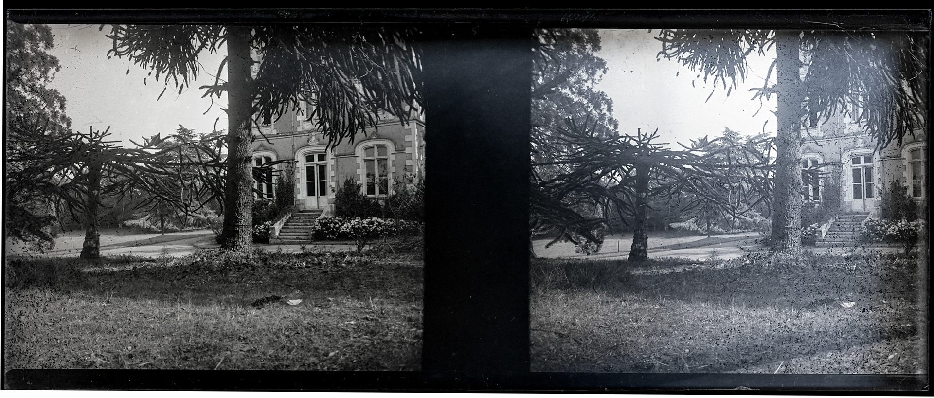 1769_ France-Val-du-Layon La bodière