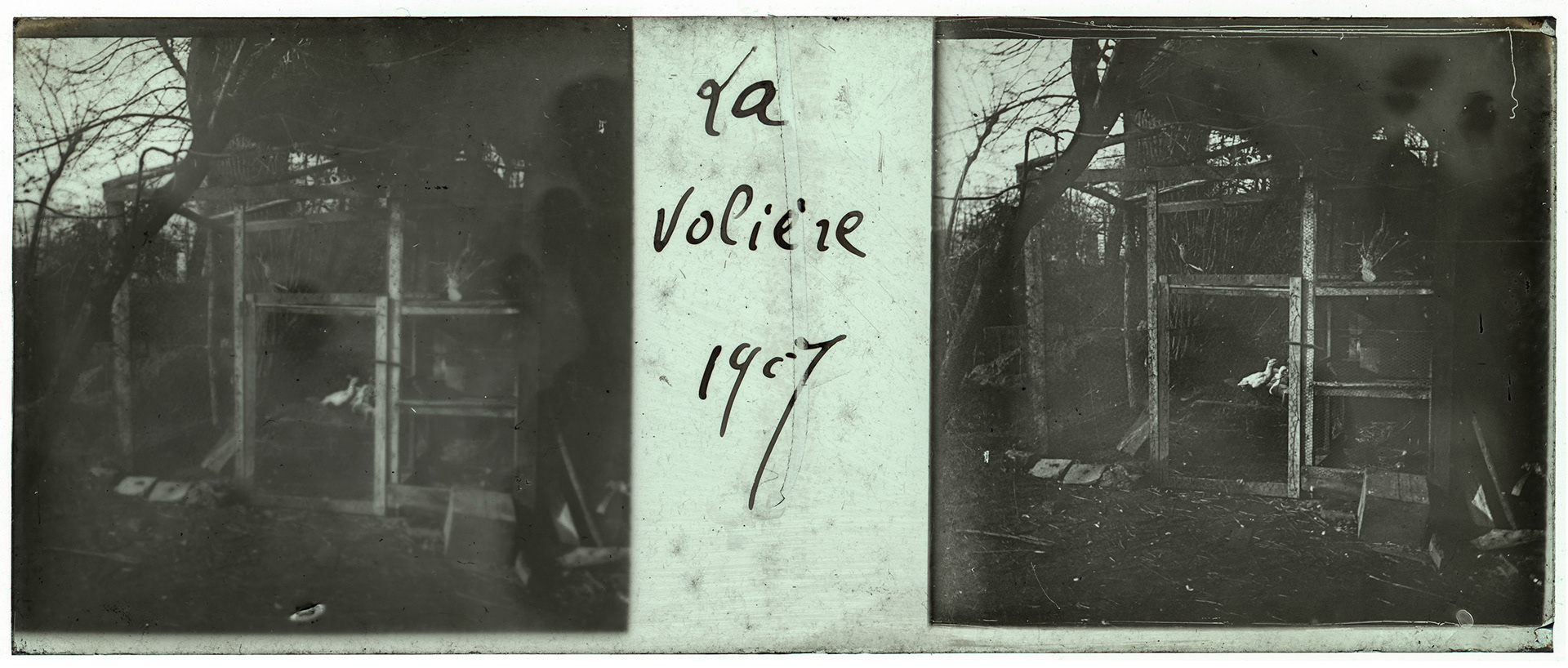 1733_ France-Lille-Esquermes - 1907 - "La volière 1907"