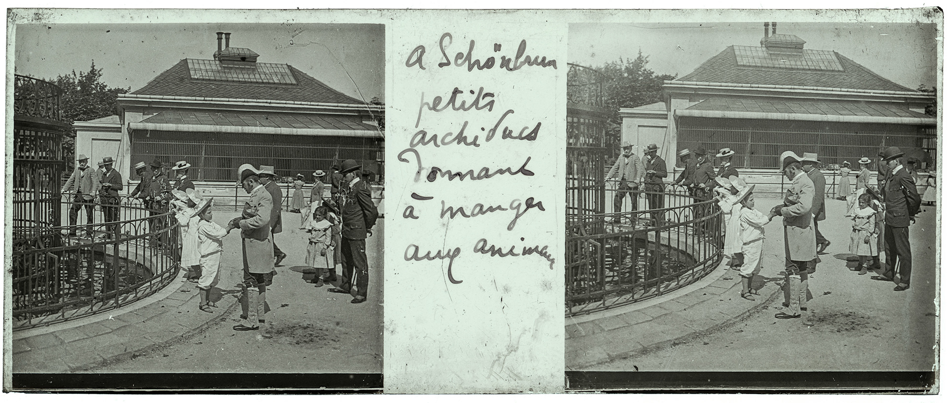 2132_ Autriche-Vienne Chateau de Schonbrunn - 1902 - "A Schönbrunn petits archiducs donnant à manger aux animaux"