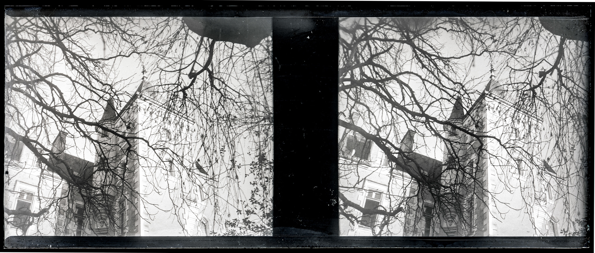 1603_ France-Val-du-Layon La bodière