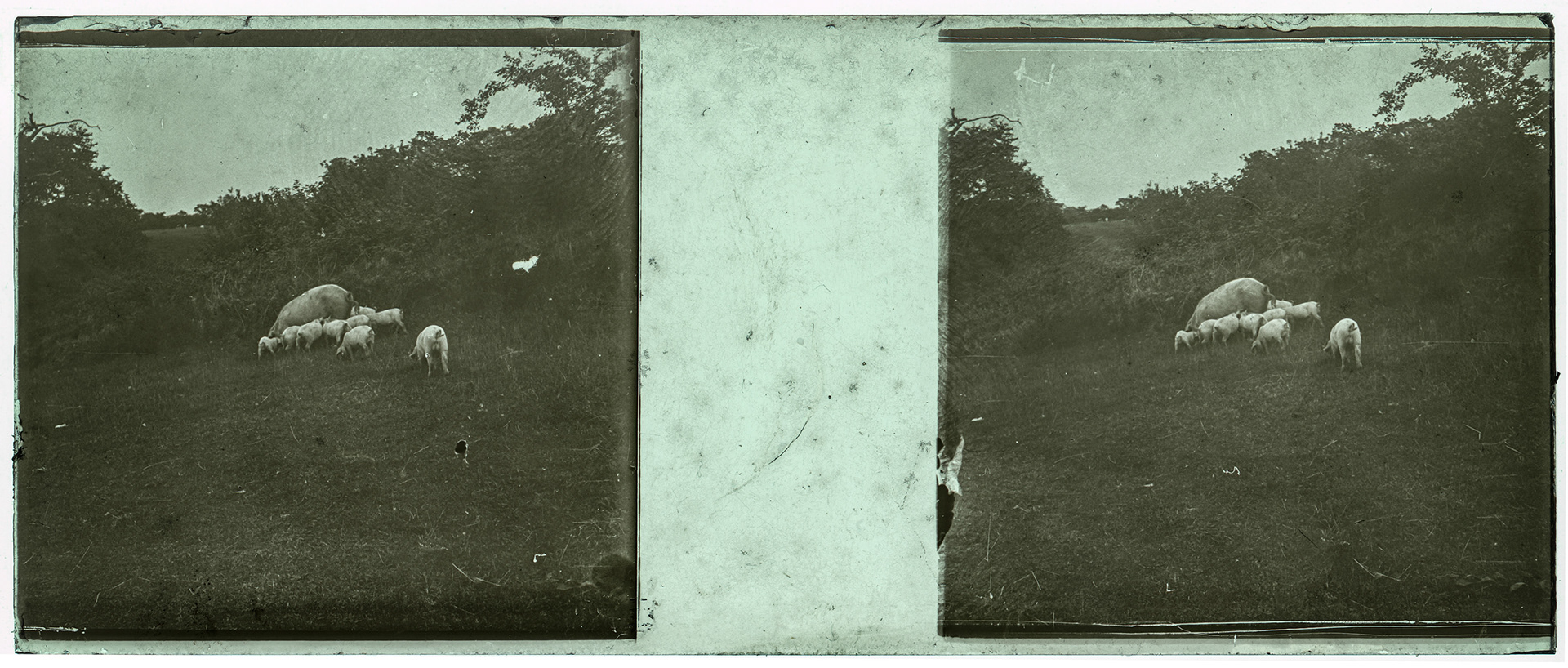 1402_ France-Villiers-sur-mer - 1921