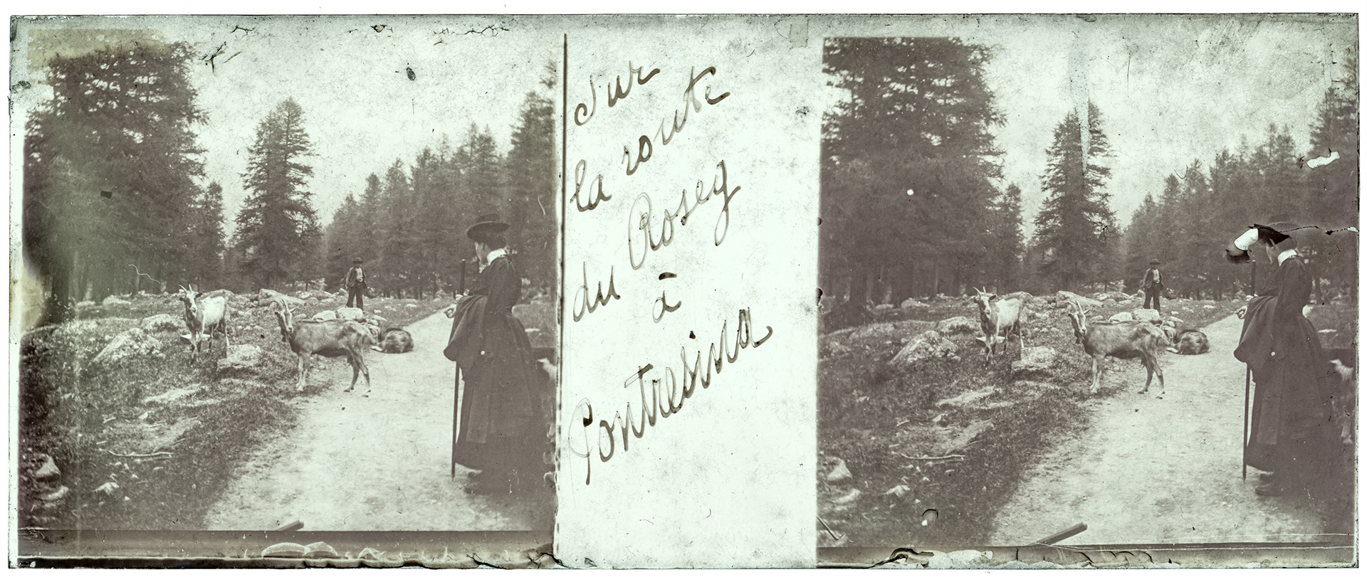 1158_ Suisse-Pontresina - "Sur la route du Roseg à Pontresina"