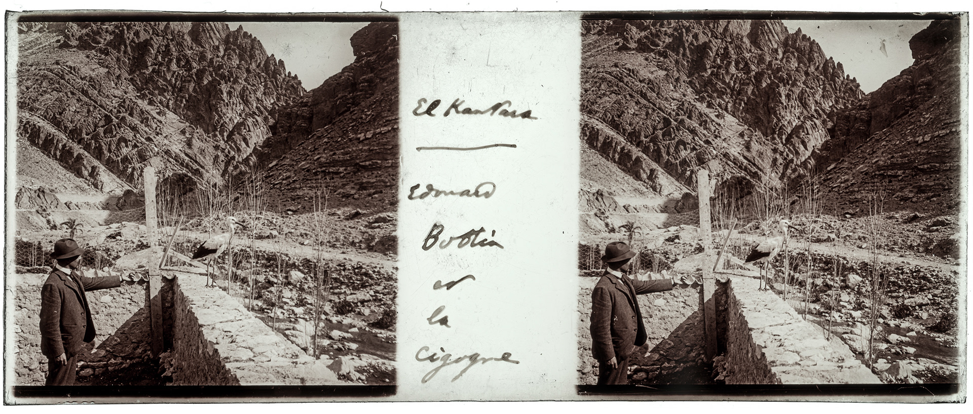 2196_ Algérie-El kantara - 1929 - "El Kantara - Edouard Bootin et la Cigogne"