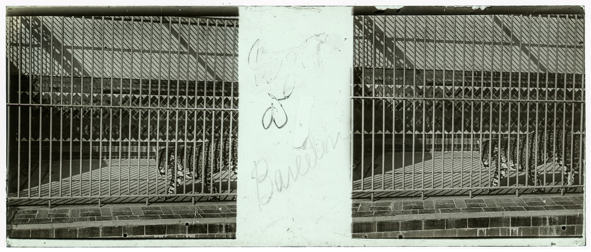 1525_ "Tigre de Bareelen"