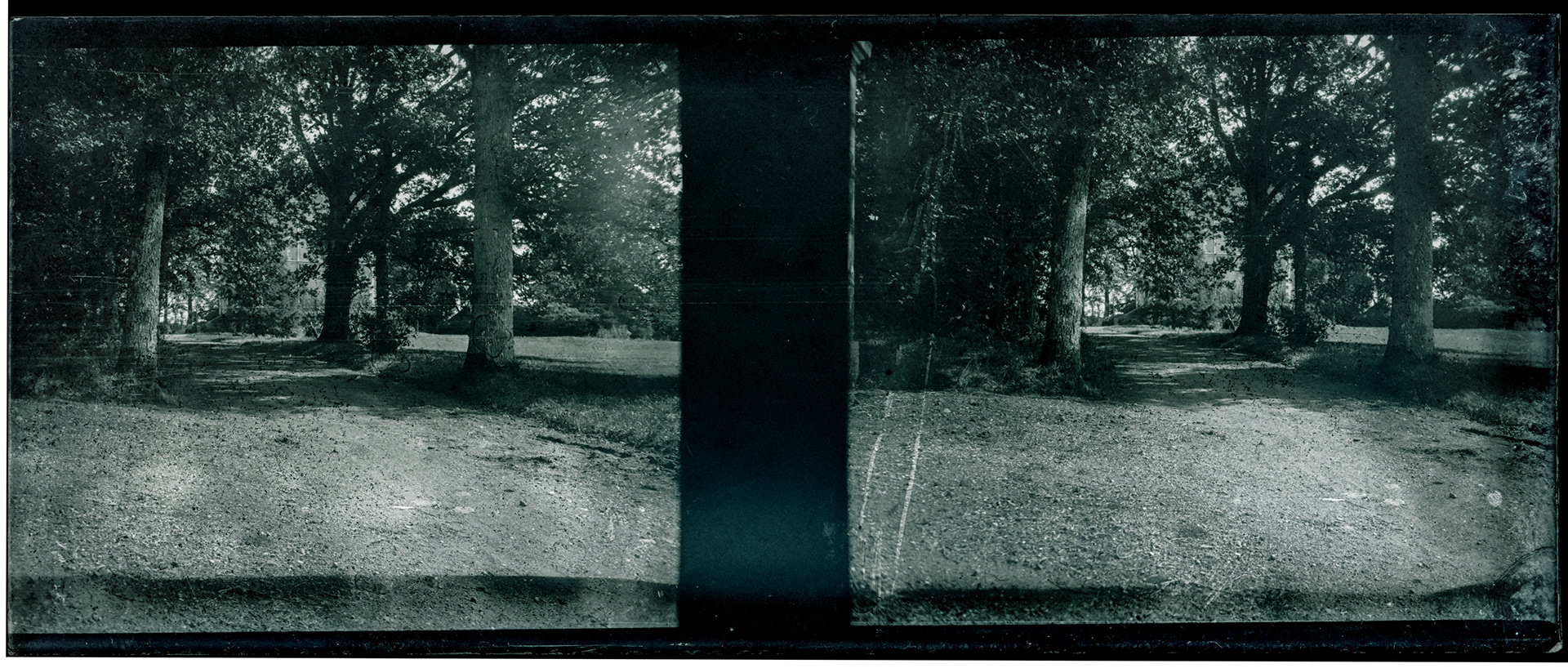 1574_ France-Val-du-Layon La bodière