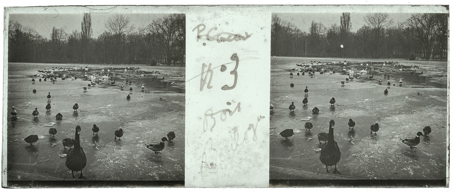 2170_ France-Paris bois de Boulogne - 1917 - "n°3 Bois de Boulogne"