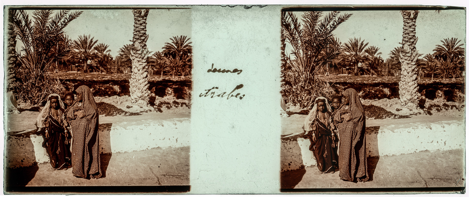 0883_ Algérie - 1929 - "Launes Arabes"