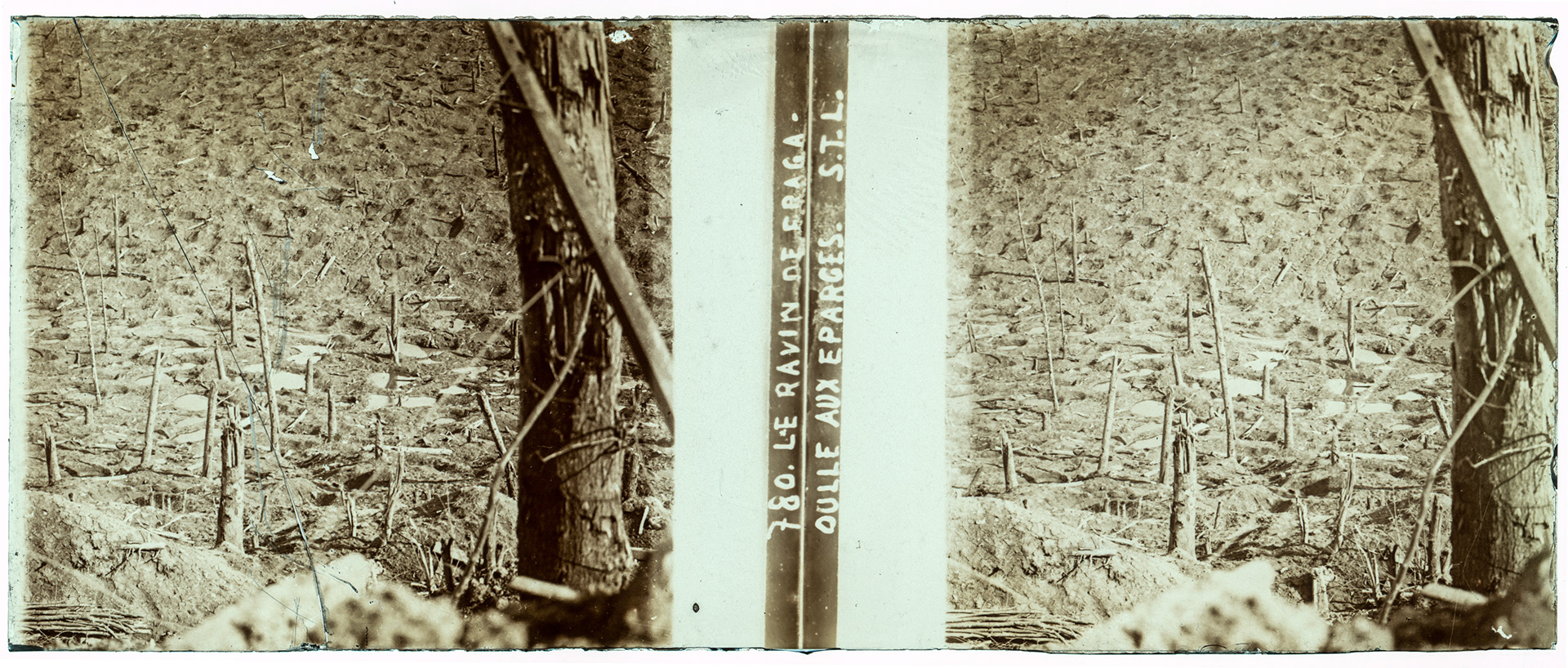 0545_ France-Verdun Ravin de fragaoulle - "780 Le Ravin de Fragaoulle aux Eparges STL"