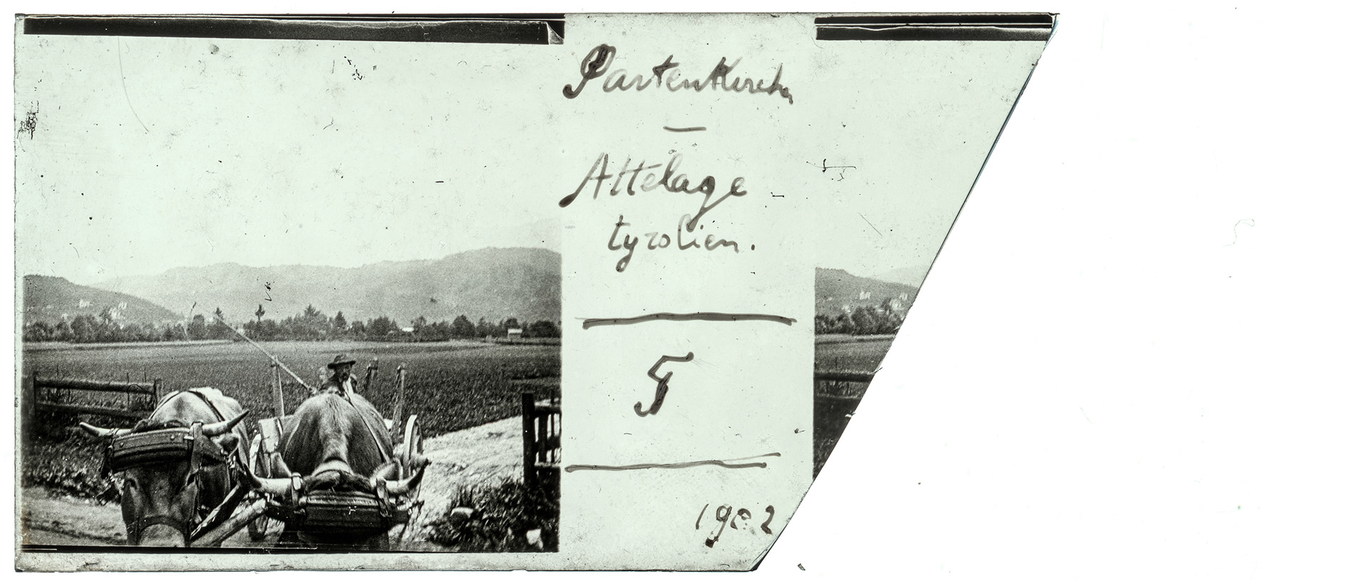 1624_ Allemagne-Partenkirchen - 1902 - "Partenkirchen - Attelage tyrolien - 5 - 1902"