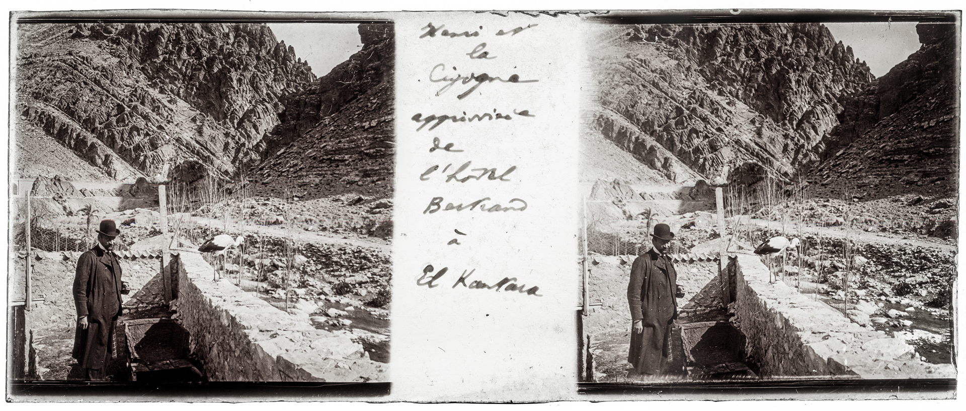 1824_ Algérie-El Kantara Hotel Bertrand - 1929 - "Henri et la Cigogne apprivoisée de l'Hotel Bertrand à El Kantara"