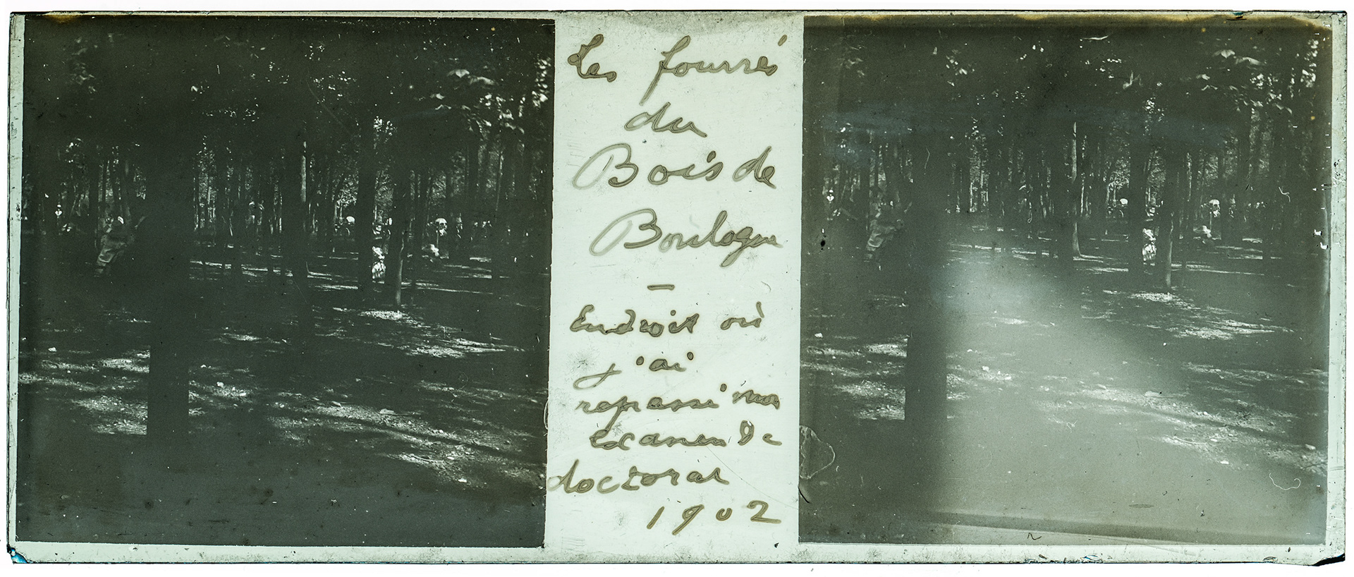 0257_ France-Paris Bois de boulogne - 1902 - "Les fourrés du bois de boulogne - Endroit ou j'ai repassé mon examen de doctorat 1902"