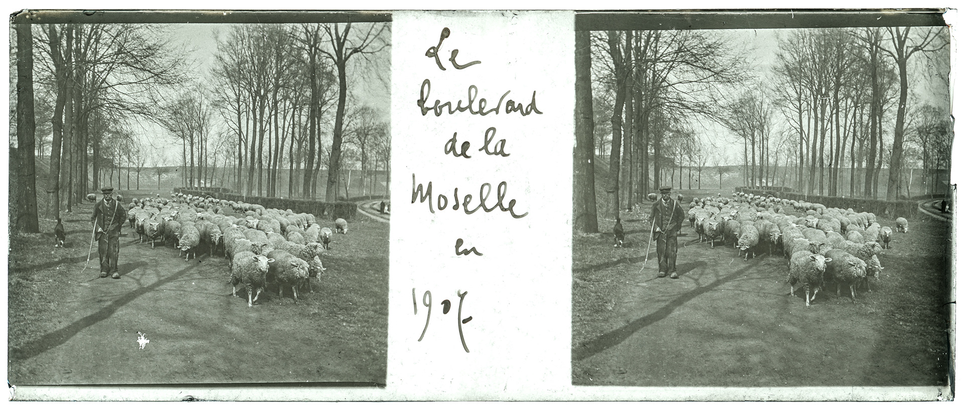 1232_ France-Lille-Boulevard de la Moselle - 1907 - "Le boulevard de la Moselle en 1907"