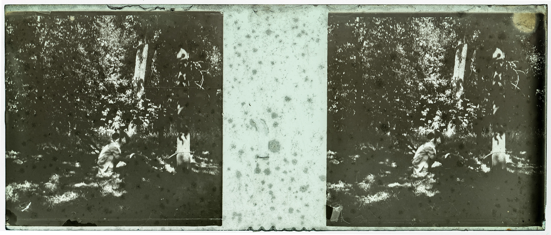 0682_ France-Lille-Esquermes