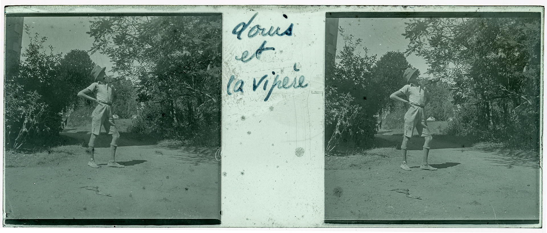 0958_ "Louis et la vipère"