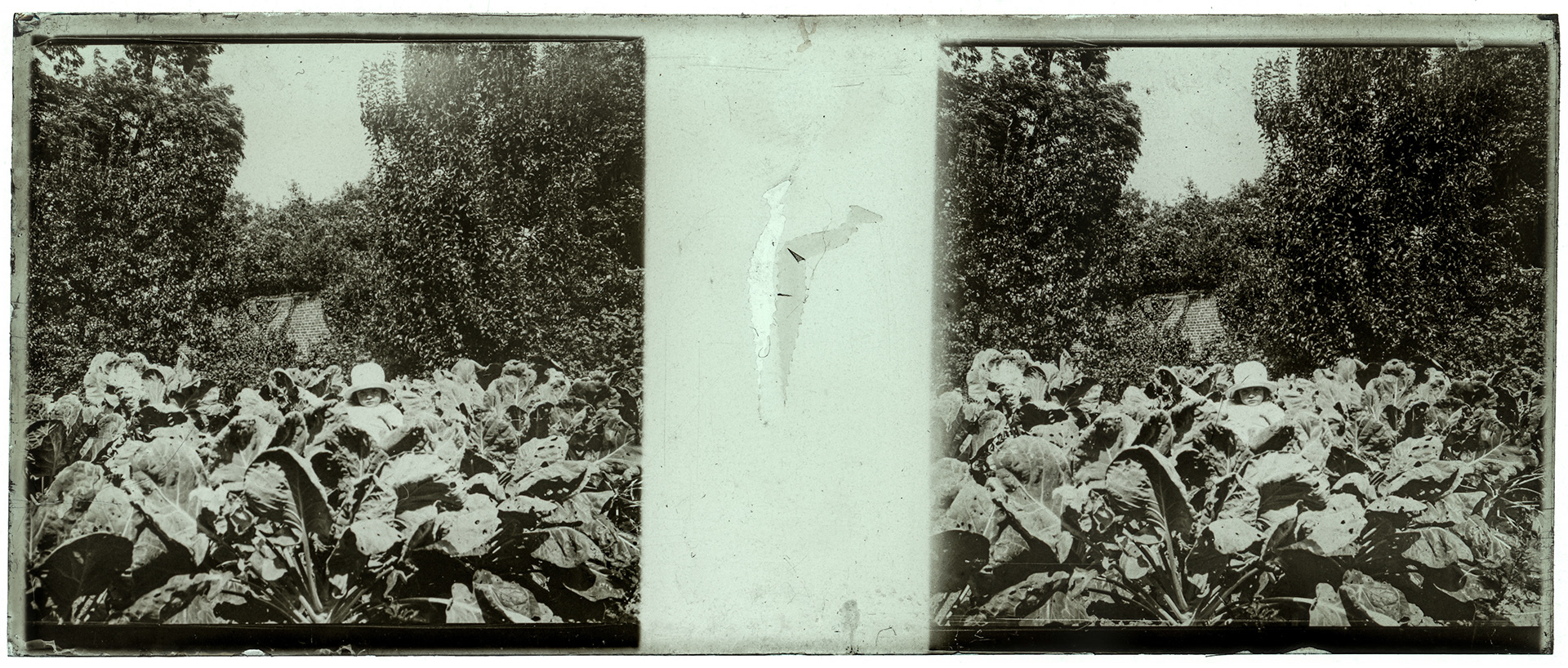 2101_ France-Lille-Esquermes