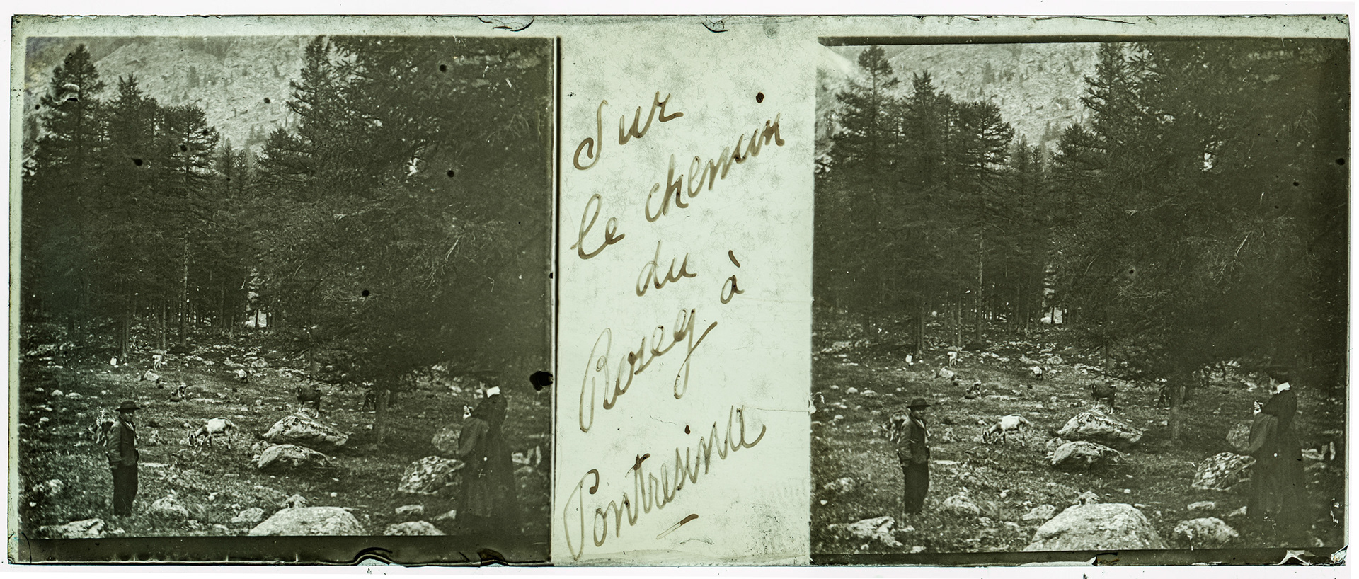 0198_ Suisse-Pontresina - "Sur le chemin du Rosey à Pontresina"