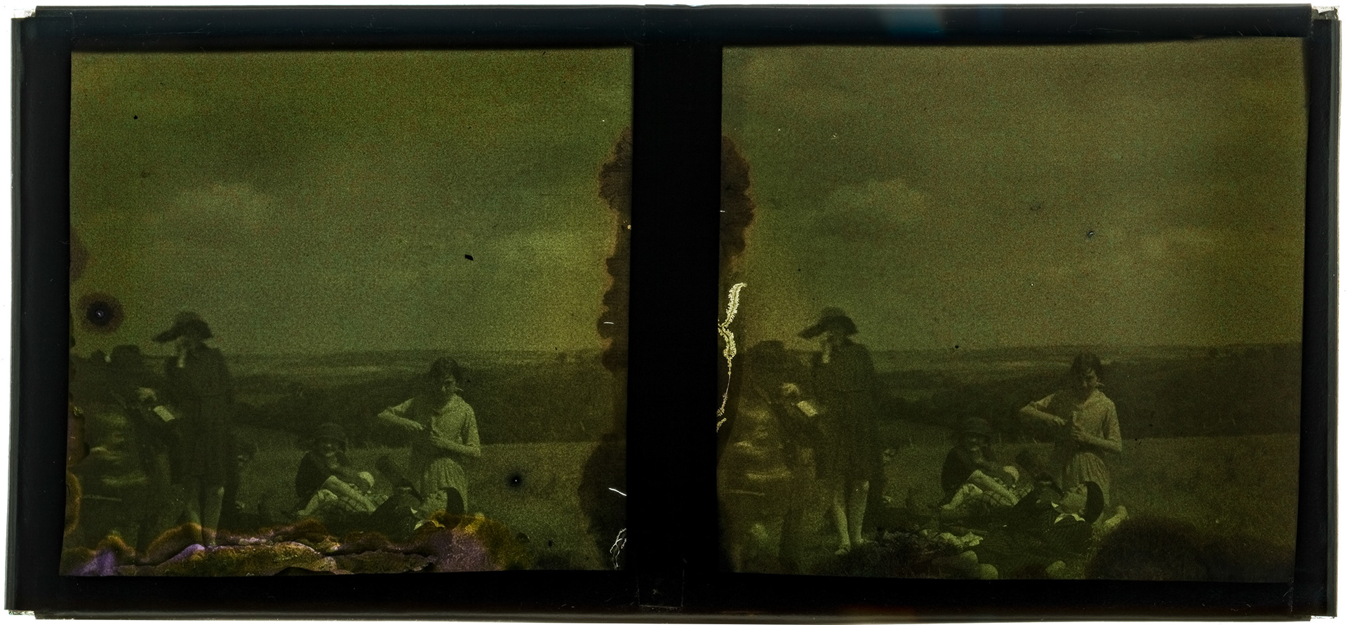 2244_ France-Val-du-Layon La bodière