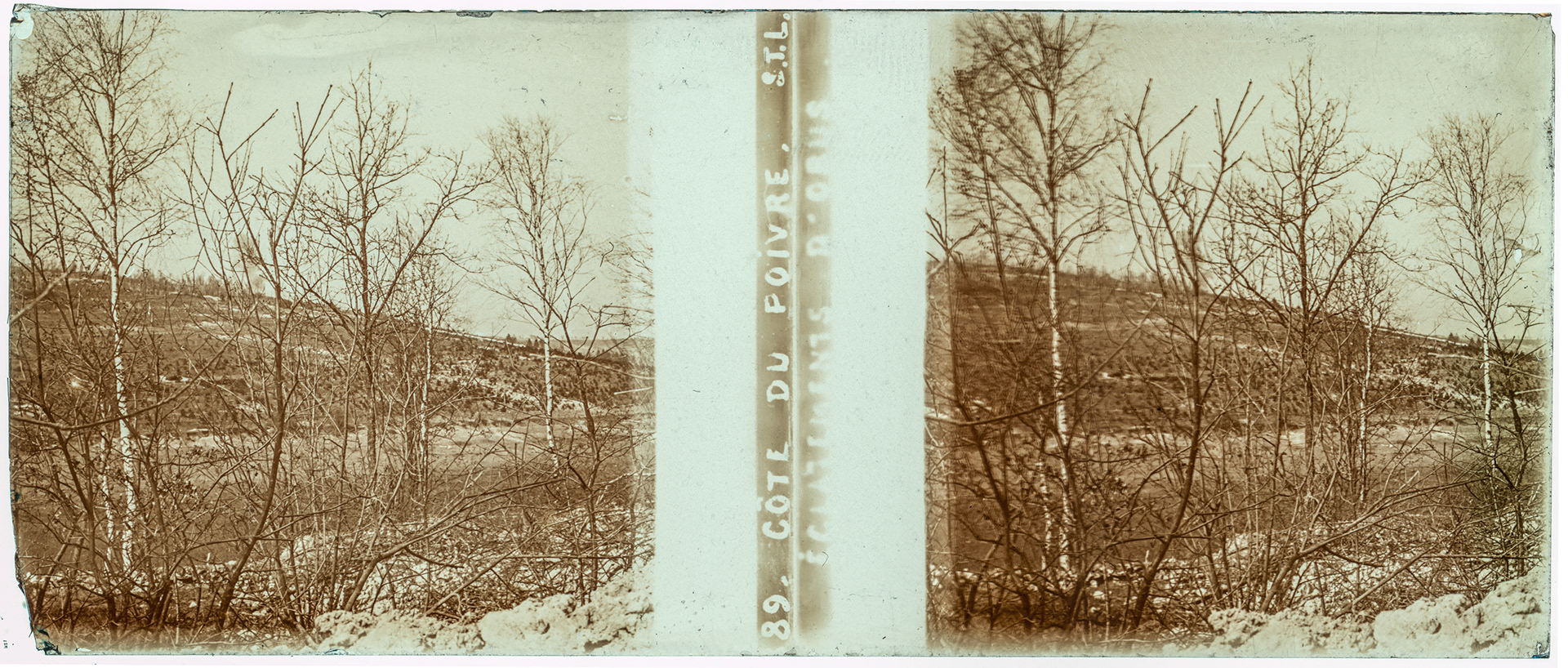 0568_ France-Louvemont-côte-du-poivre - "89 Côte du poivre - Eclatement d'obus STL"