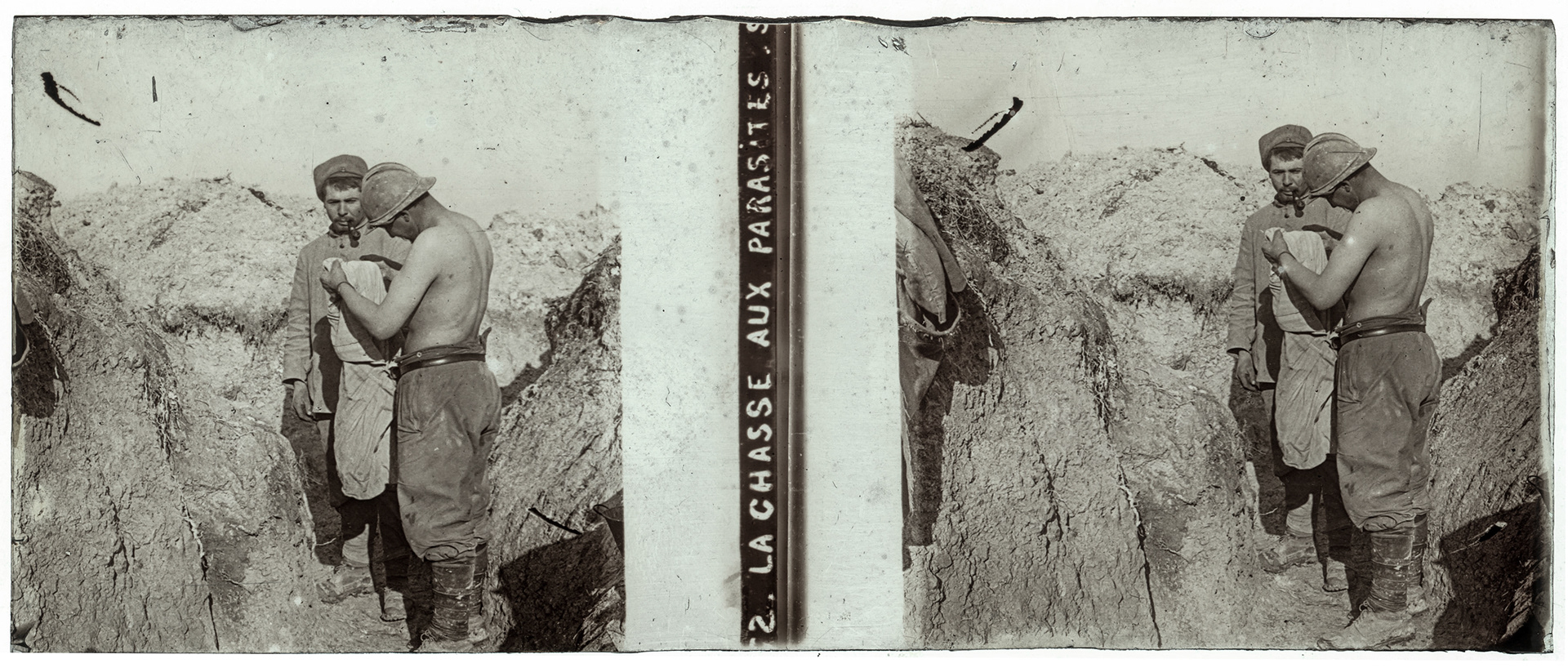 1833_ "La chasse aux parasites"