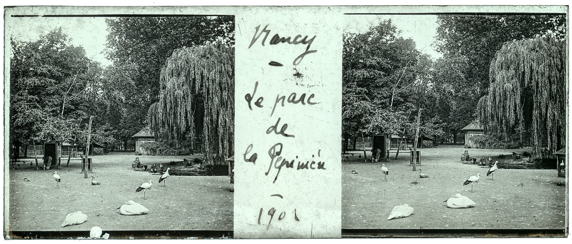 1233_ France-Nancy-Parc de la Pépinière - 1902 - "Nancy - Le parc de la Pépinières - 1902"